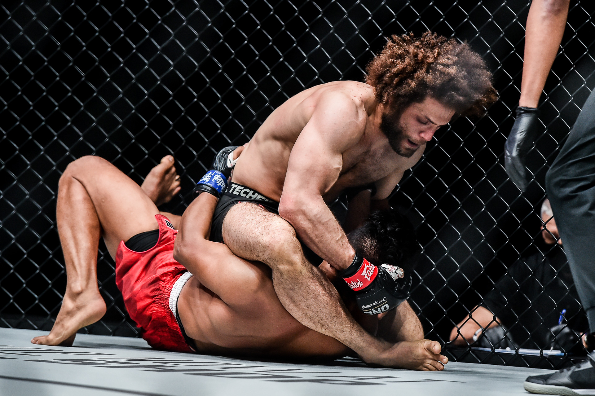 أحمد فارس البرنس