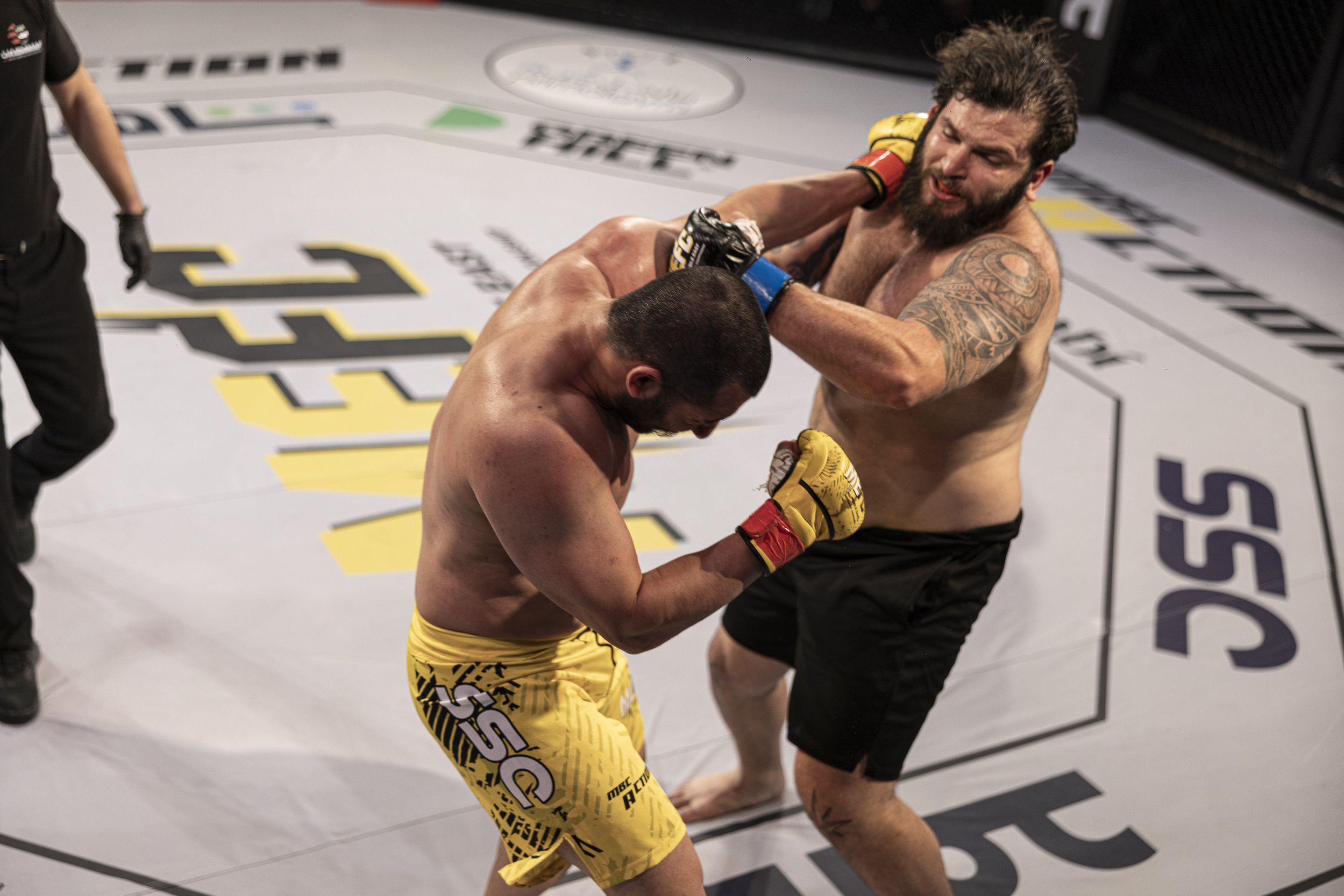 ريكاردو بشير