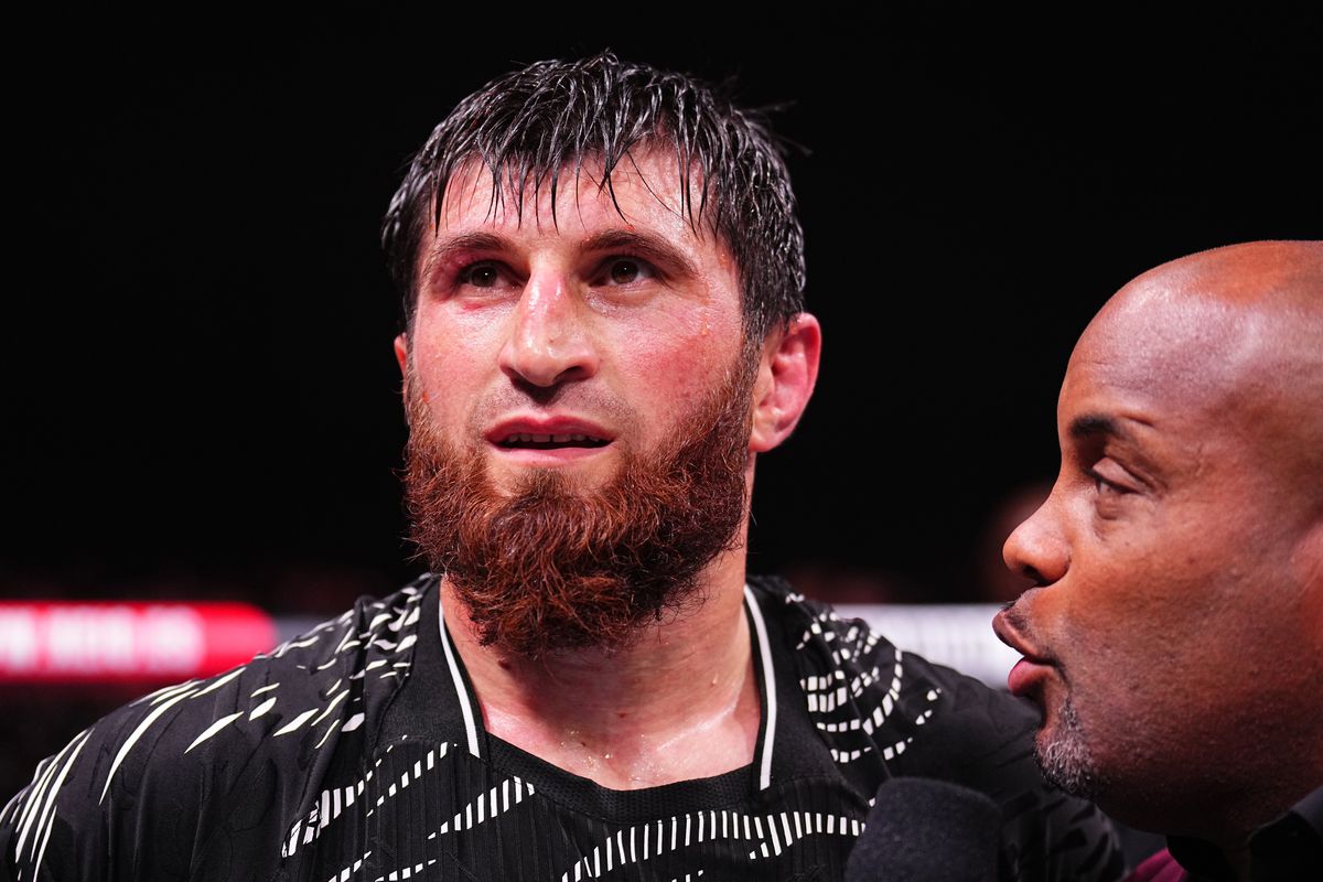 ماغوميد أنكالايف