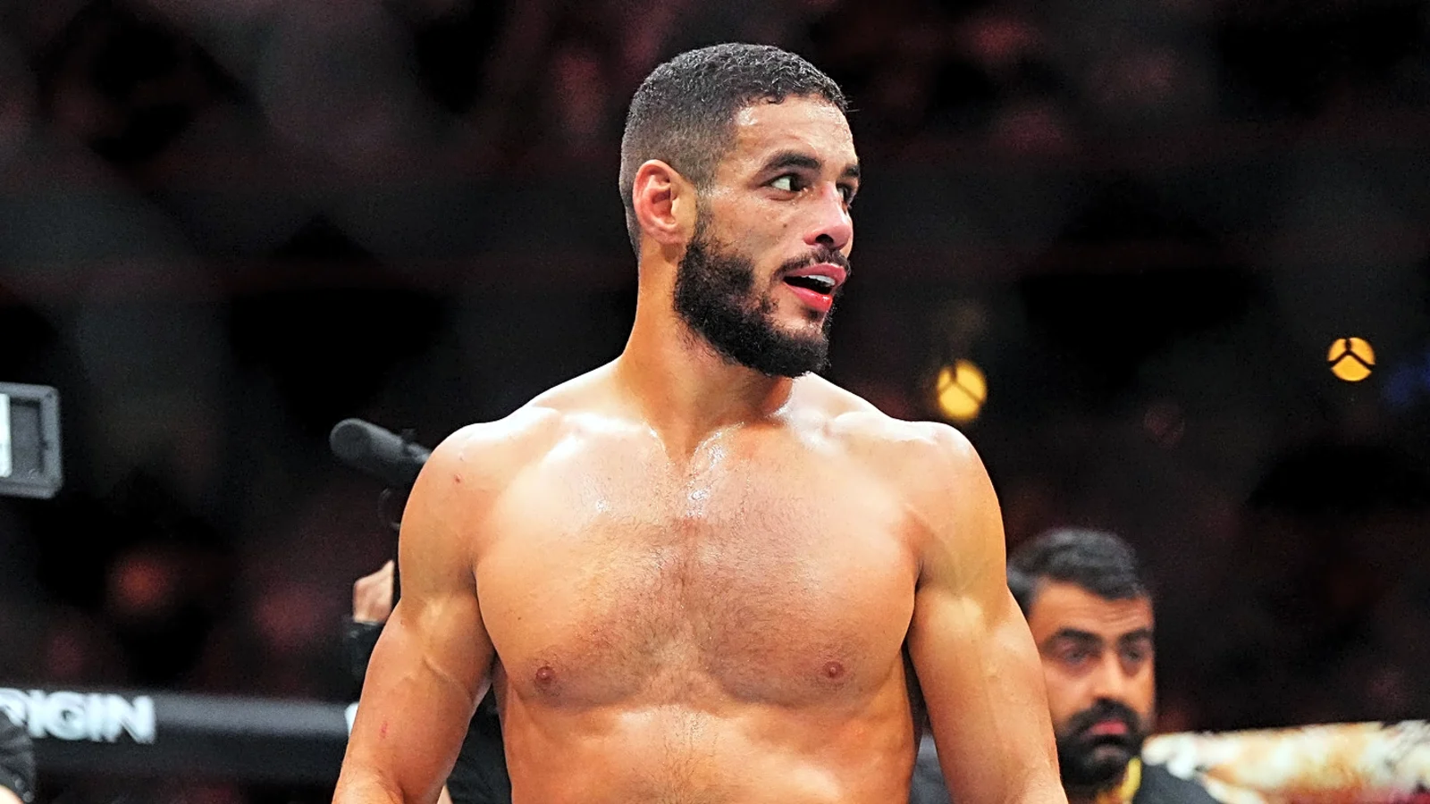 جابرييل بونفيم